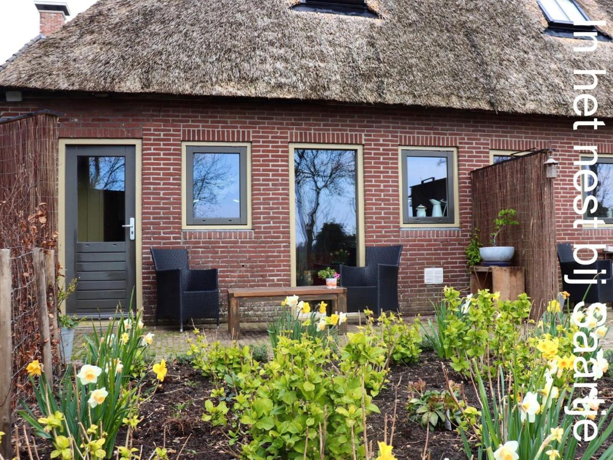Friesland *